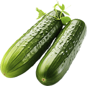 Salatalık